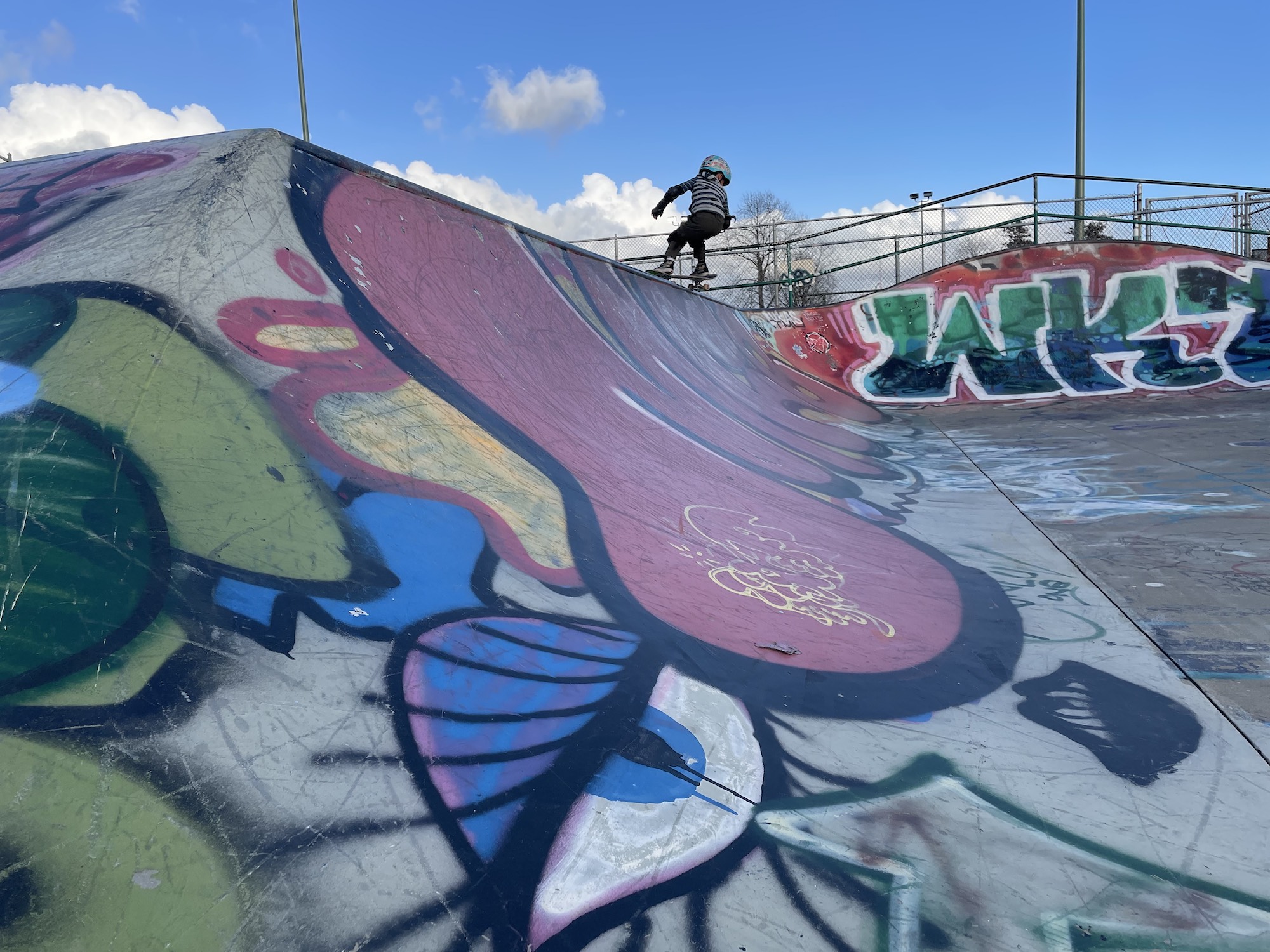 De Fremery skatepark